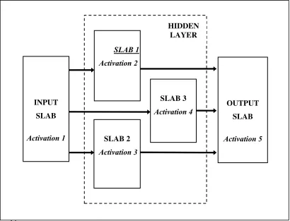 Figure 1. The Multiply Activated Multi-Layer Perceptron (MAMLP) neural network 