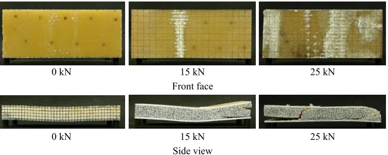 Fig. 8. In-plane strain on the back face. 