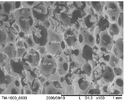 Fig. 1: Scanning Electronic Microscopy observation of the tested PU130 foam. 