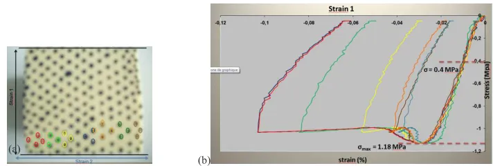 Fig. 8 :  Strain evolution measured from variably spaced marks during a compression creep test