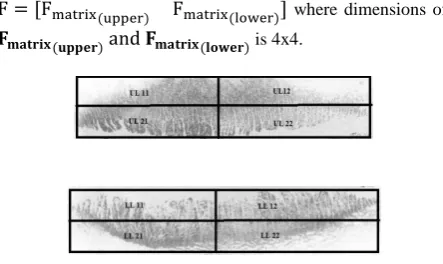 Fig 7: Figure depicting the division of the given image in blocks 
