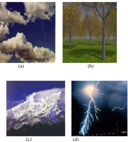Fig. 4. Iterative process in Nature. (a) Cloud forming is iterative  (b) Tree growth is iterative   (c) Snow capped mountain  (d) Charge separation and lightening  