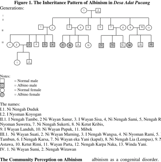 Figure 1. The Inheritance Pattern of Albinism in Desa Adat Pucang  Generations:  Notes:  = Normal male  = Albino male  = Normal female  = Albino female  The names: 