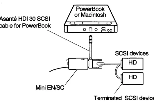Figure 2-9 Connecting EN/SC to other SCSI devices 