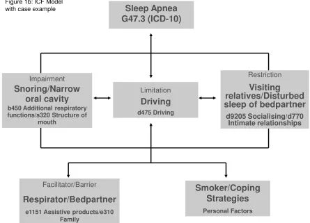 Figure 1b: ICF Model 