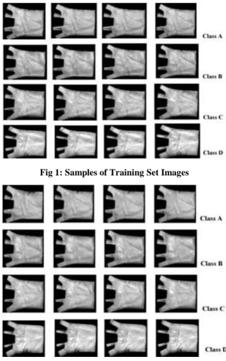 Fig 1: Samples of Training Set Images 