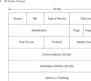 Figure 2-6IP Frame Format