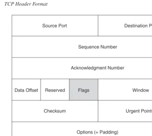 Figure 2-9TCP Header Format