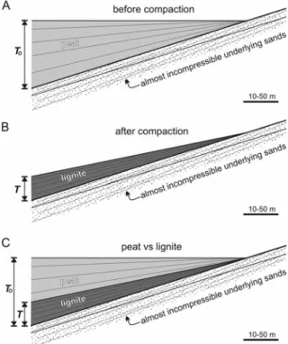 Table 1). Conceptually, all of them rely on a compari- compari-son of the thickness of the original peat bed with the thickness of the resulting lignite/coal seam
