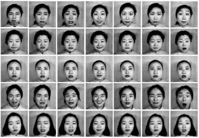 Figure 2 Sample Images of JAFFE database   