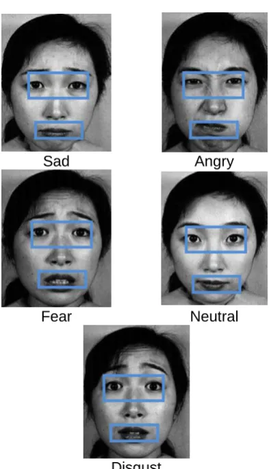 Figure 4. Region subdivision for the 7 expressions Disgust  