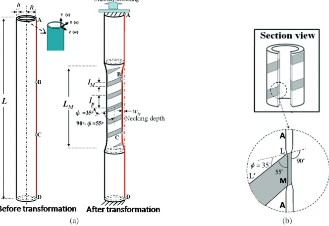 Fig. 1. (a) Shape of the helical domain in a tube and the overall necking leading to the bending energy of the tube; (b) the macroscopic misfit between martensite and the austenite regions along the wall-thickness direction, which contributes to the main p