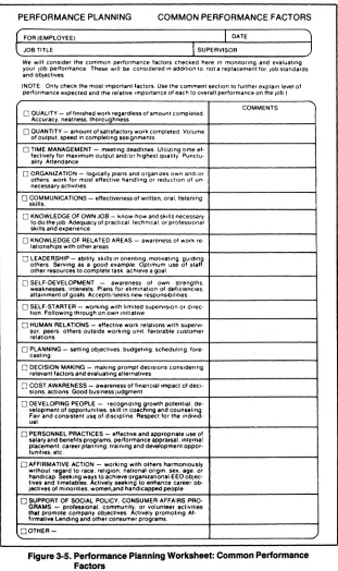 Figure 3·5. Performance Planning Worksheet: Common Performance Factors 