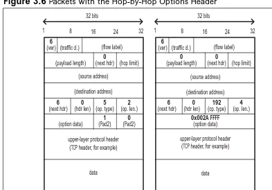 Figure 3.6 Packets with the Hop-by-Hop Options Header