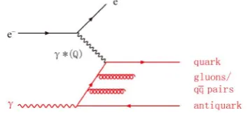 Figure 1. Electron-photon scattering [generic Feynman diagram]. The incoming target photon γ splits into a nearly collinear quark-antiquark pair