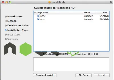 Figure 1-7. A custom Node.js install on OS X