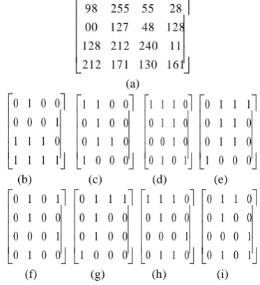 Fig 2: (a) Original matrix, (b)-(i) Constituent bit plane of (a) 