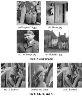 Fig 5: Cover images   