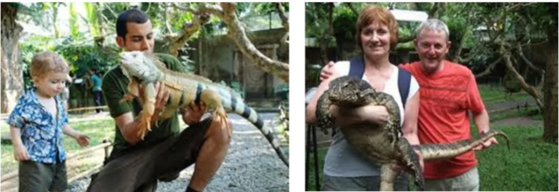 Figure 7 Bali Reptile Park