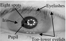 Fig 1: Example of iris image from CASIA V3.0. 