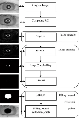 Fig 5: Results of image deinoising and enhancement. (a-c) 