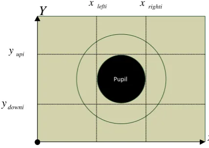 Fig  8:  Images of the histograms which presents the variation of pupils’ boundaries limit of CASIA iris database V3.0