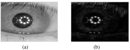 Fig 12:   Result of image cleaning. (a) Edge map. (b) Result 