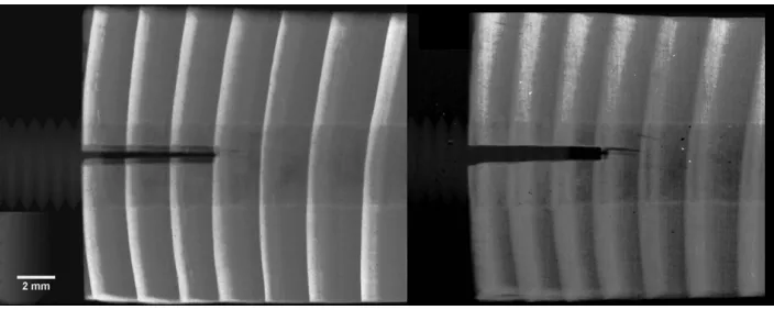 Fig. 2. In-situ microscopic crack observation while samples are loaded under displacement control