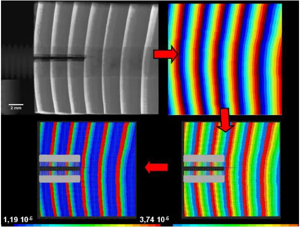 Fig. 5. Implementation of gradual isotropic mechanical properties along each annual ring 