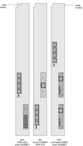 Figure 2 shows an example of network interfaces on NP boards.