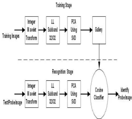 Figure 1: Query Image against Matching Images from Database  