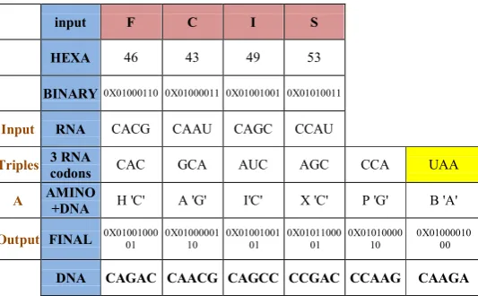 Fig 4: Example of the Embedded DNA encoding algorithm  