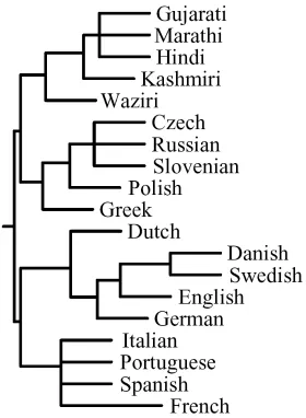 Figure 6.7. The consensus tree produced by maximum parsimony cladistic analysis of the data in table 6.6