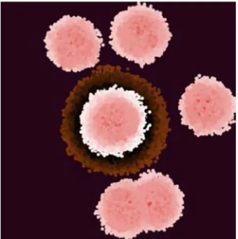 Fig. 2.  6 stem cells evolution and metastasis visualization with grow-factor=1.75,  apoptosis=low and replication-factor=high (near 200,000 cells in steady state).