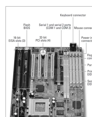 Figure 3-13: Identifying components on a baby AT motherboard