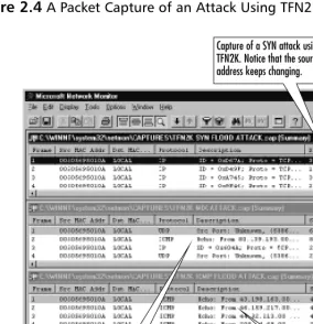 Figure 2.4 A Packet Capture of an Attack Using TFN2K
