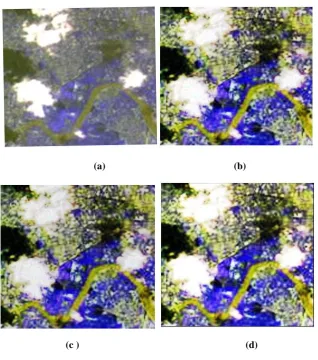 Fig 3. LISS III image (a)Input image (b) Image contrast enhancement  using GHE (c) Image contrast  enhancement  using DWT 