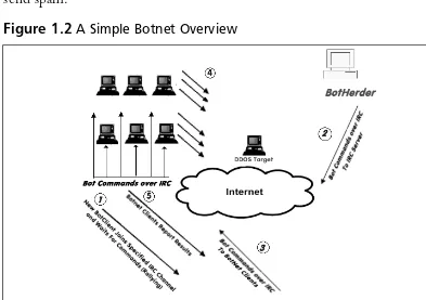 Figure 1.2 A Simple Botnet Overview