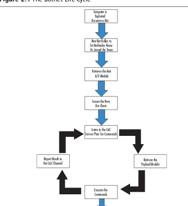 Figure 2.1 The Botnet Life Cycle