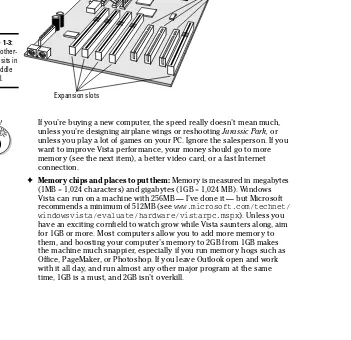 Figure 1-3:The mother-