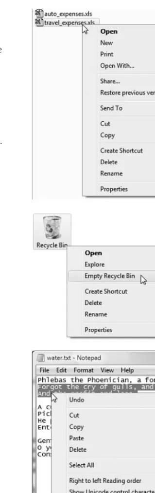 Figure 1.19 The right mouse button’s shortcut menusoffer common commands quickly. Here are shortcutmenus for a Microsoft Excel file in Explorer, theRecycle Bin, and selected text in Notepad