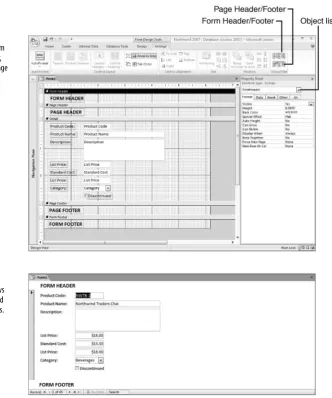 Figure 1.12The Form view shows