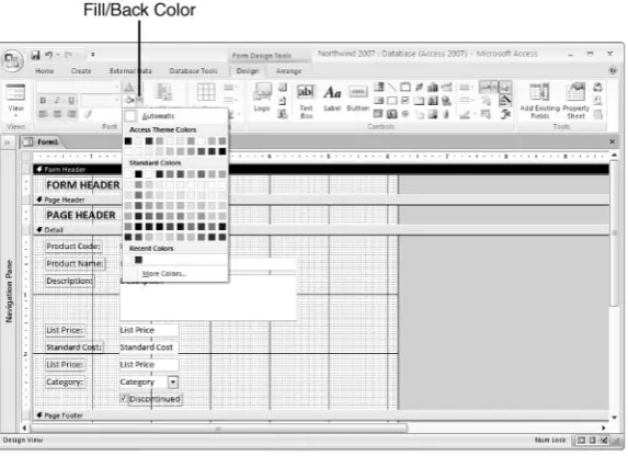 Figure 1.13Click the Fill/Back Color
