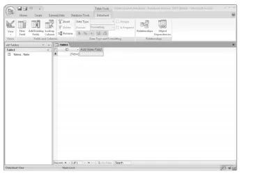 FIGURE 2-4The new MyAccessAutoAuctions database is created.