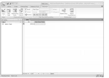 FIGURE 2-6The main Access interface when working with a new database