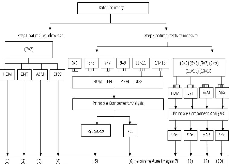 Fig. 1 Strategy of the Textural Analysis 