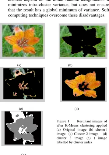 Figure  1       Resultant  images  of  after  K-Means  clustering  applied     (a)  Original  image  (b)  cluster1  image    (c)  Cluster  2  image      (d)  cluster  3  image  (e)  )  image  labelled by cluster index 