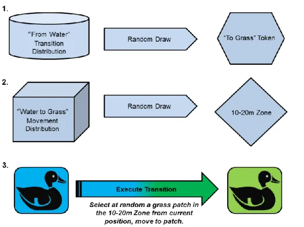 Figure 4. Depiction of the 3-step random draw process simulating animal  cognition of cover type transition 