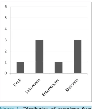 Table 2. Distribution of bacterial pathogens isolated from water samples in the Bambui and Bambili residential areas