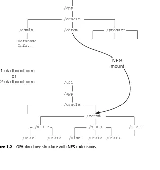 Figure 1.2OFA directory structure with NFS extensions.